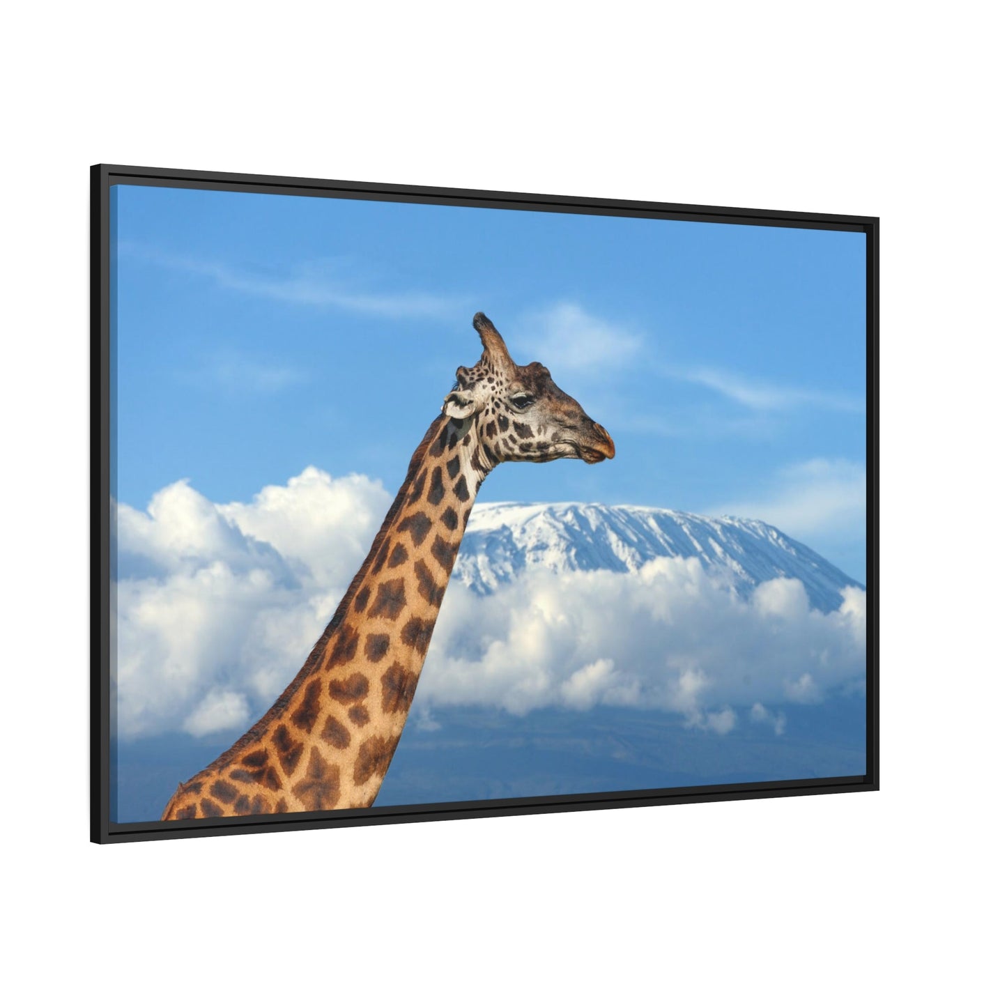 Giraffe Journey: Inspiring Art on a Framed Canvas or Poster