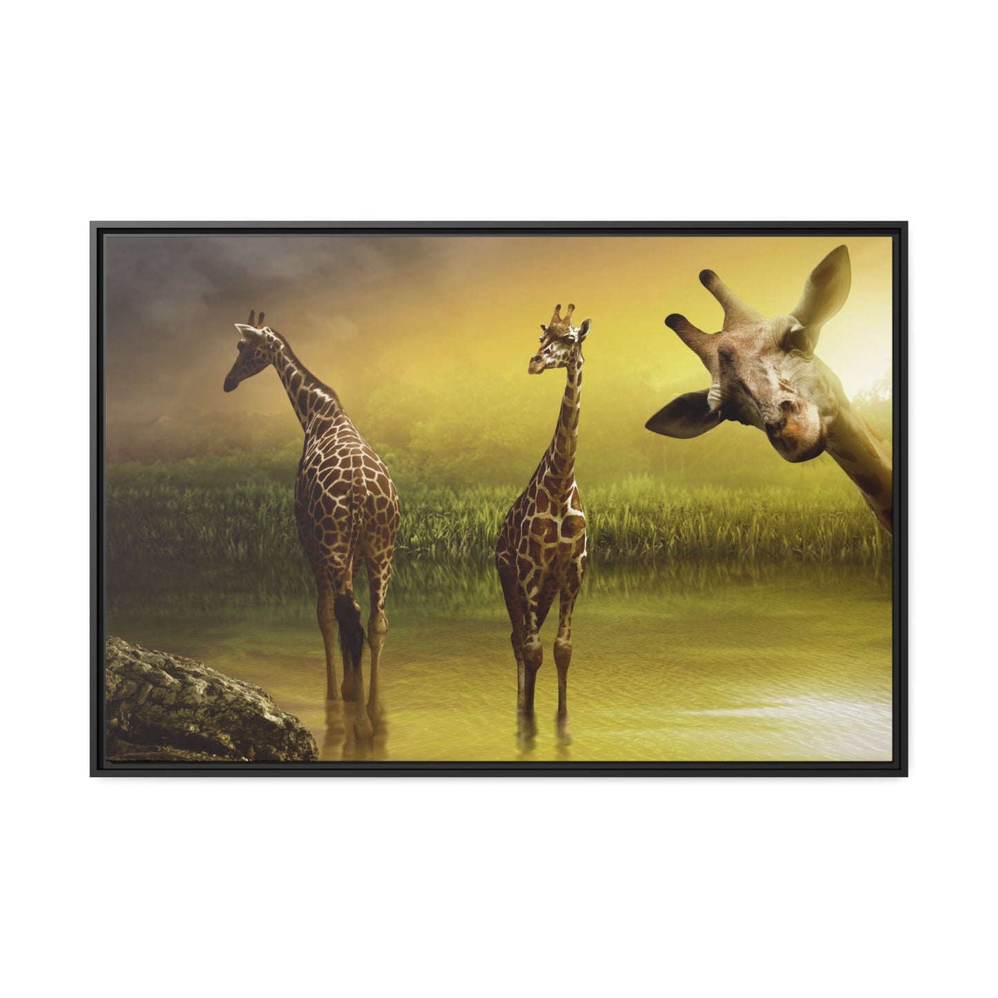 Nature's Gentle Giants: Poster & Canvas of Giraffes in Their Natural Habitat