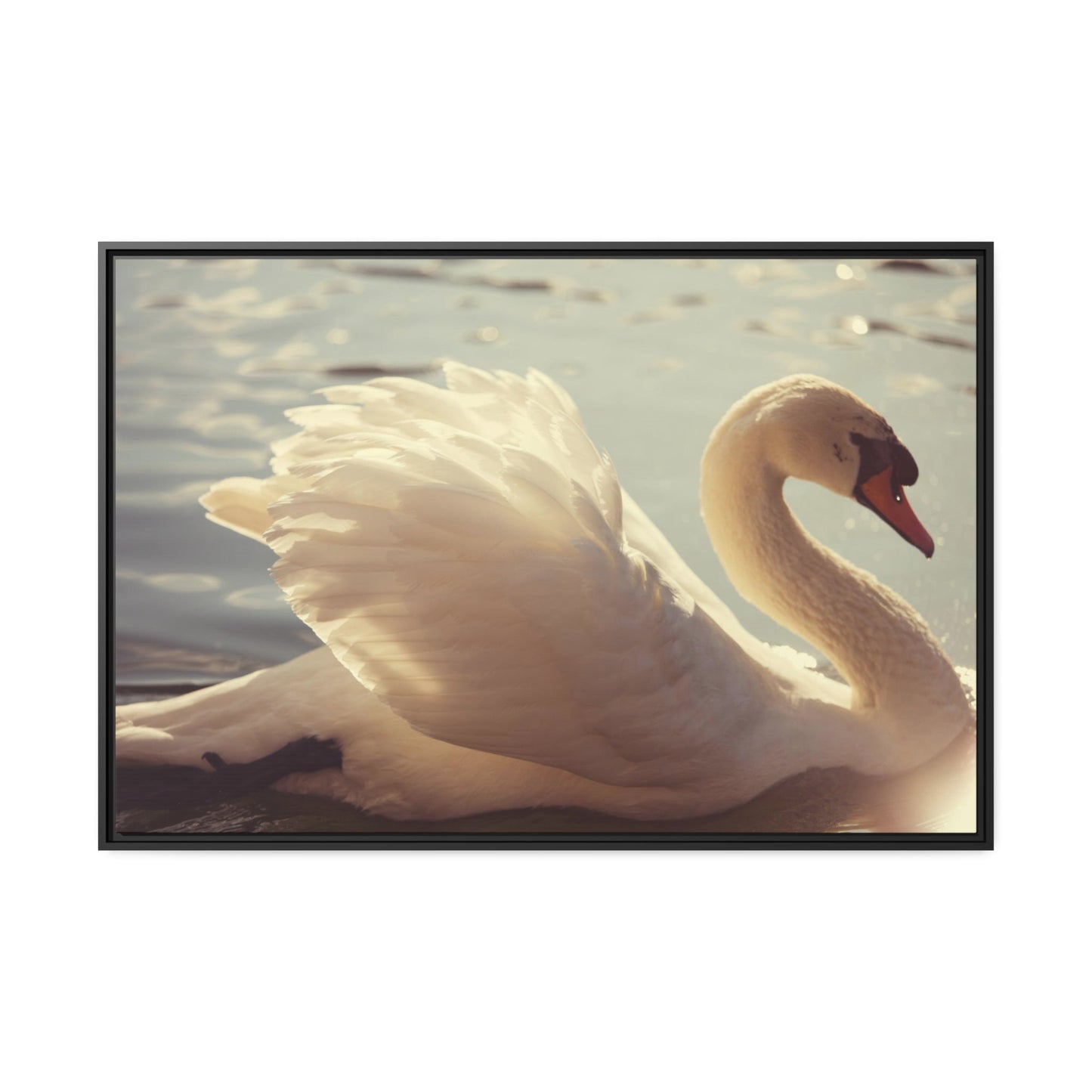Elegant Grace: Natural Canvas Print Featuring Beautiful Swan
