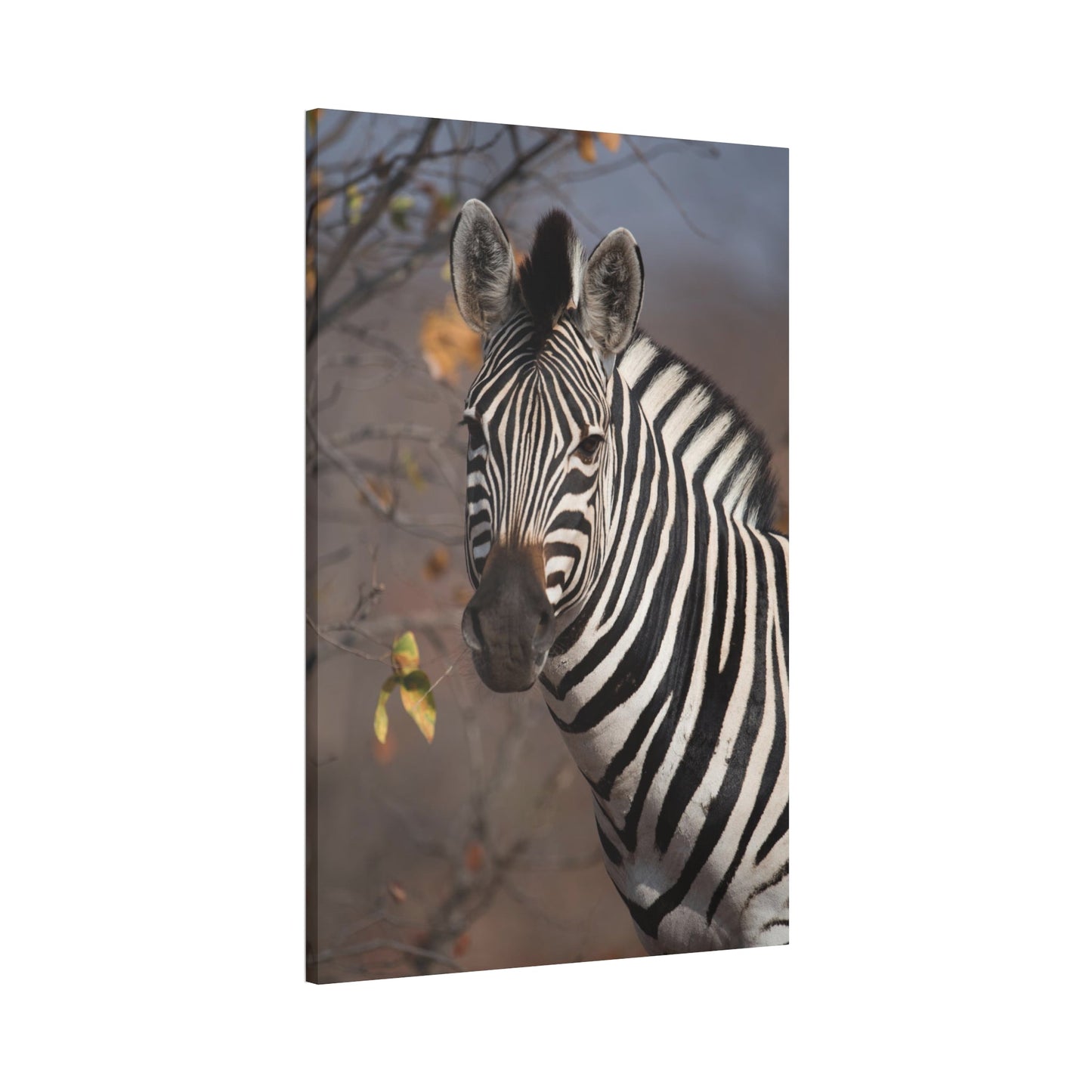 Zebra Stripes on the Horizon: Canvas Art Displaying a Beautiful Zebra in the Wild