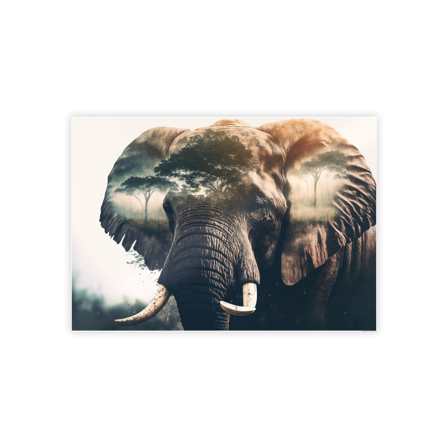 Elegant Elephant: A High-Quality Print on Canvas of an Elephant's Beauty