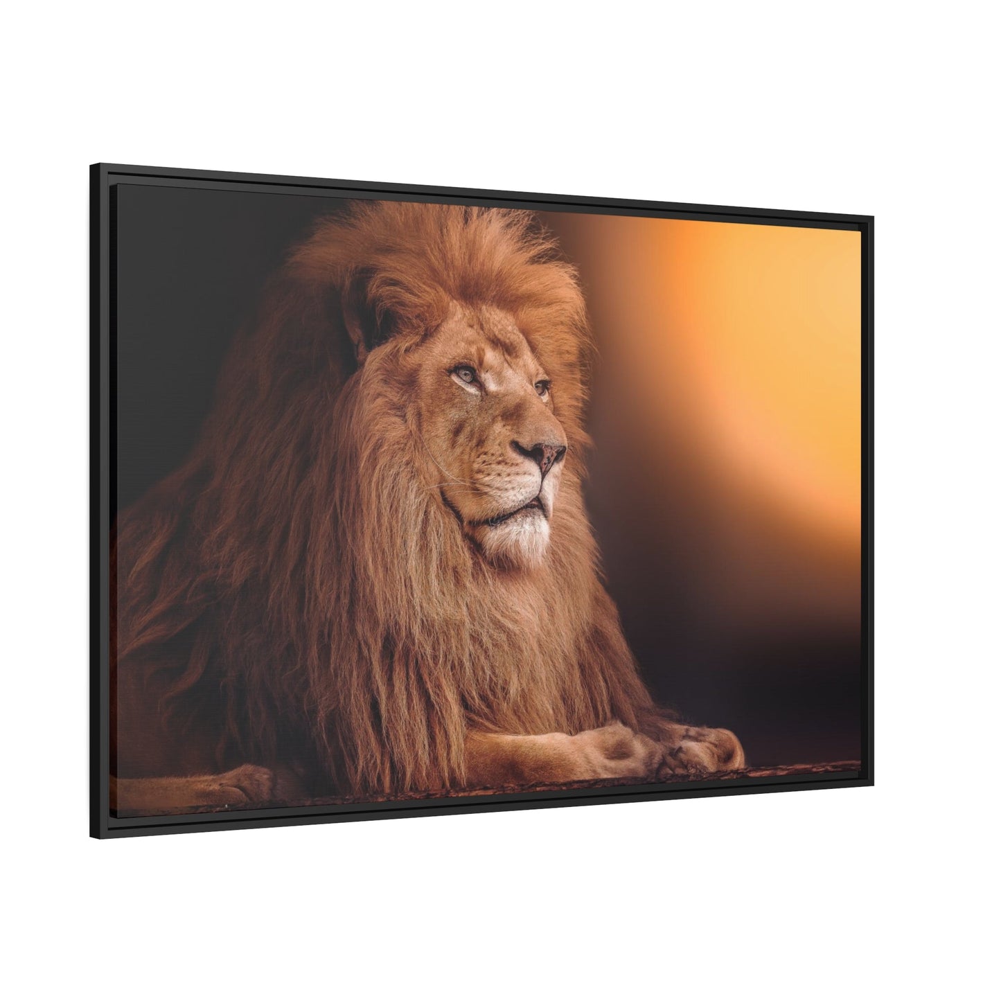 The Lion's Grace: Framed Canvas Print of the Majestic African Mammal