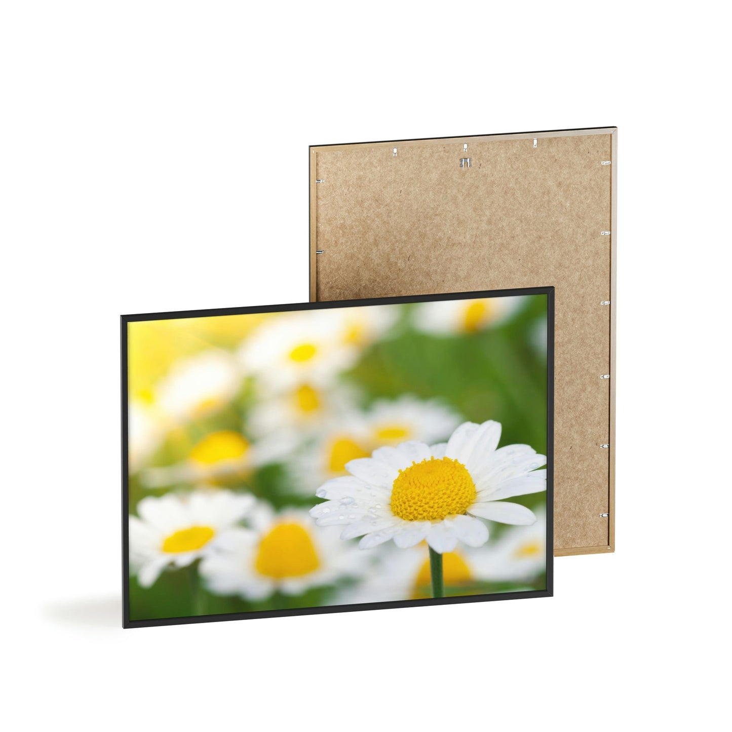 Dazzling Daisies: Captivating Artwork on Natural Canvas & Posters