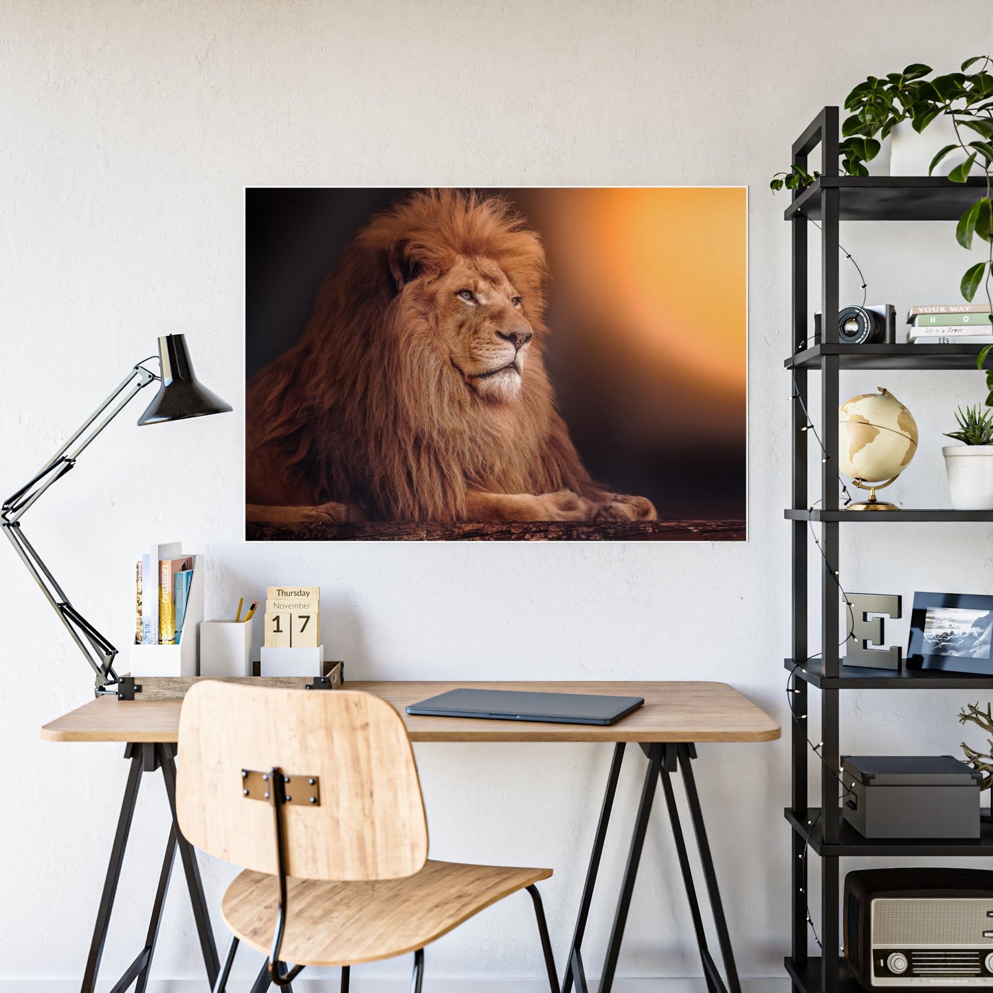 The Lion's Grace: Framed Canvas Print of the Majestic African Mammal