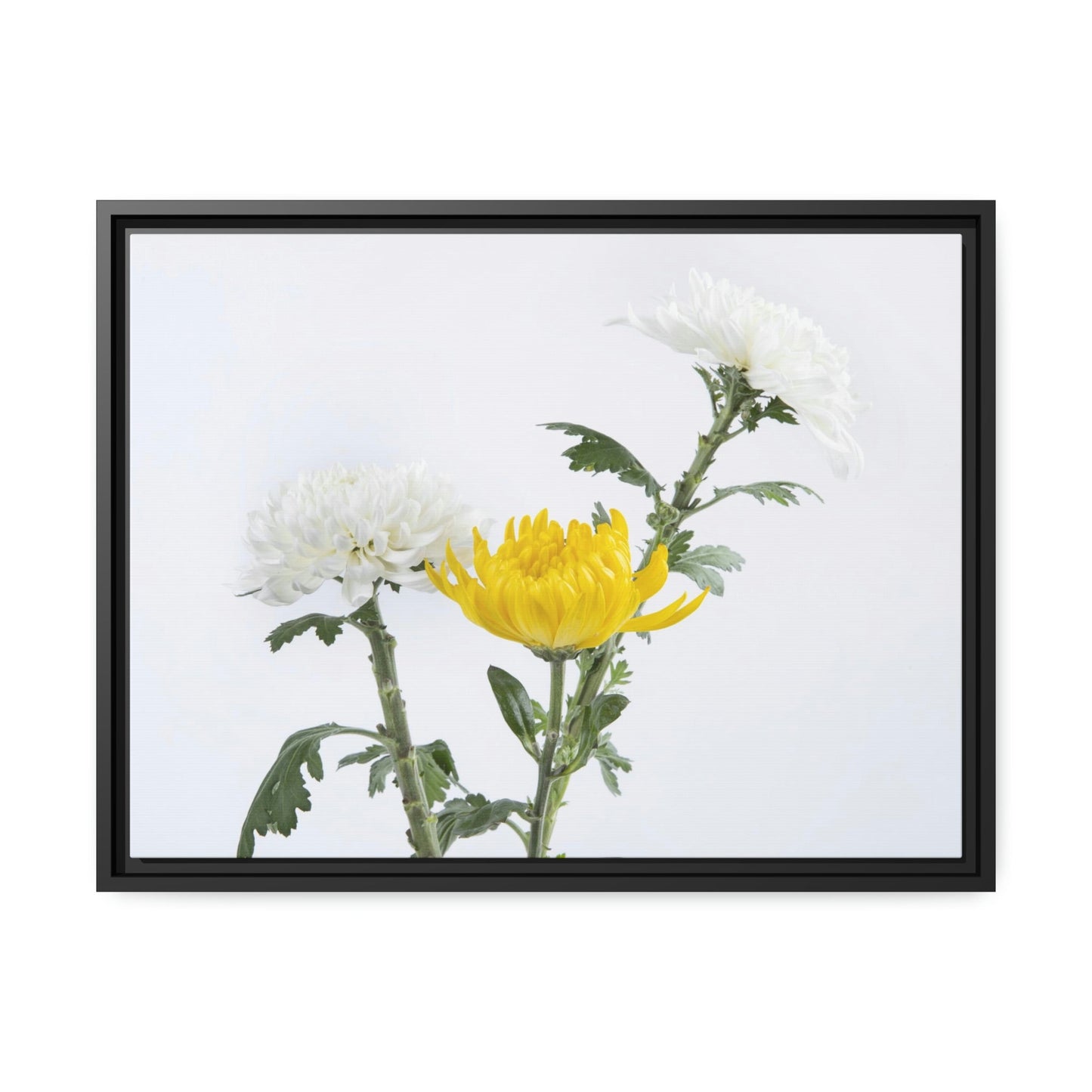 Floral Bliss: Poster & Canvas Art with Joyful Chrysanthemum Bouquet