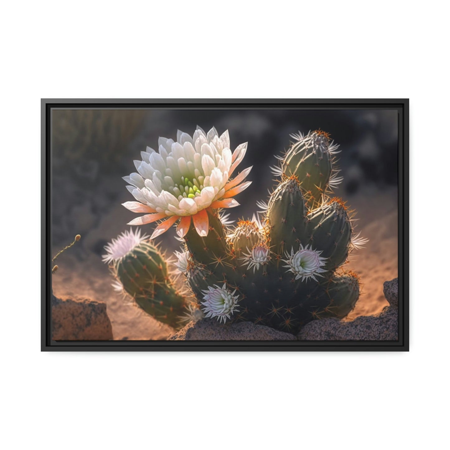 Cactus Wonderland: Canvas Print for a Whimsical and Playful Wall Decor