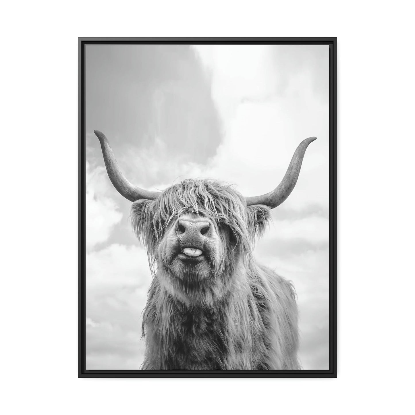 Highland Cow | Wooly Cattle | Black-White Art — Pixoram