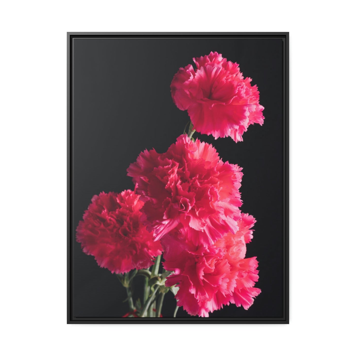Blooming Beauty: Natural Canvas and Art Prints of Carnations for Your Home