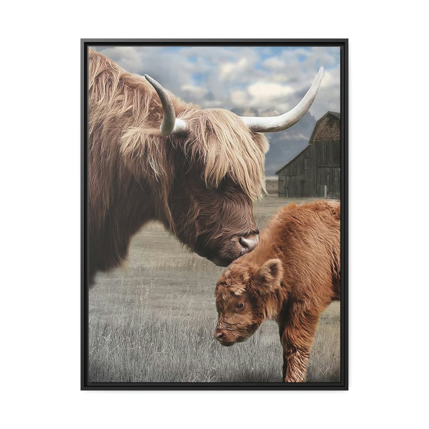 Highland Cow | Shaggy Cows Art — Pixoram
