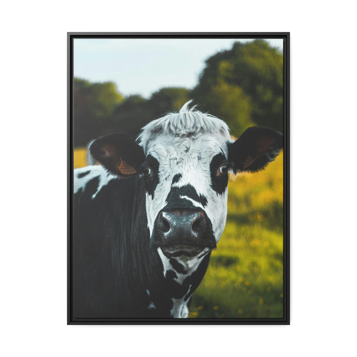 Black and White Cow on a Green Background | Animals Art