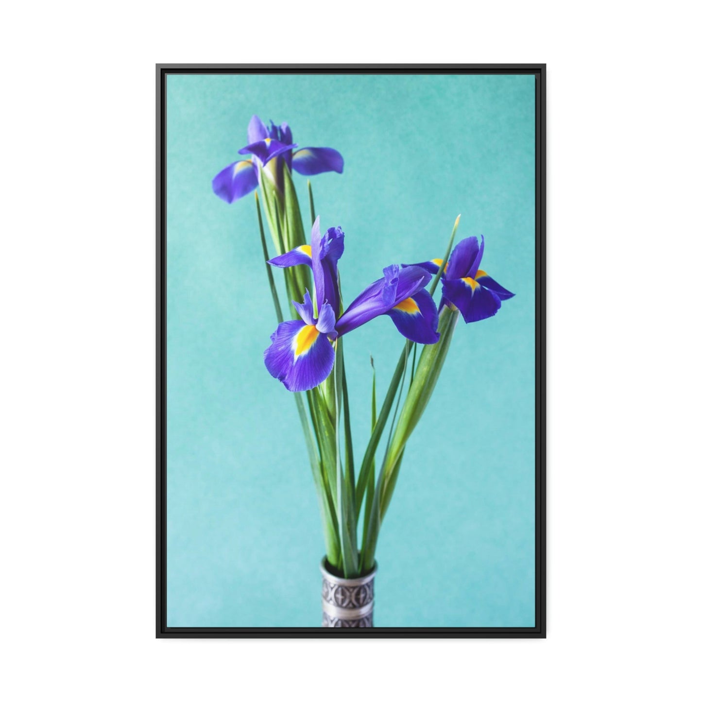 Iris Radiance: A Canvas of Bright and Bold Blossoms