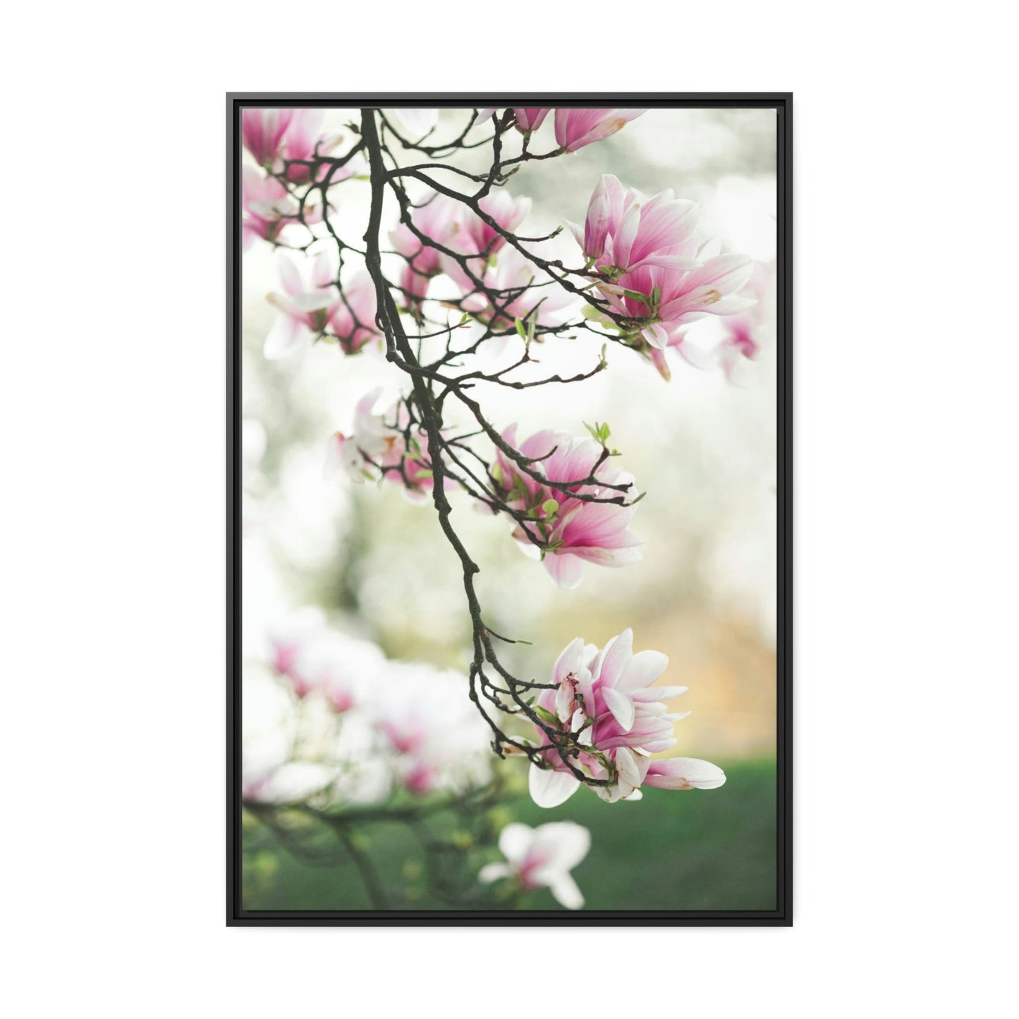 Magnolia Bliss: A Garden of Joy