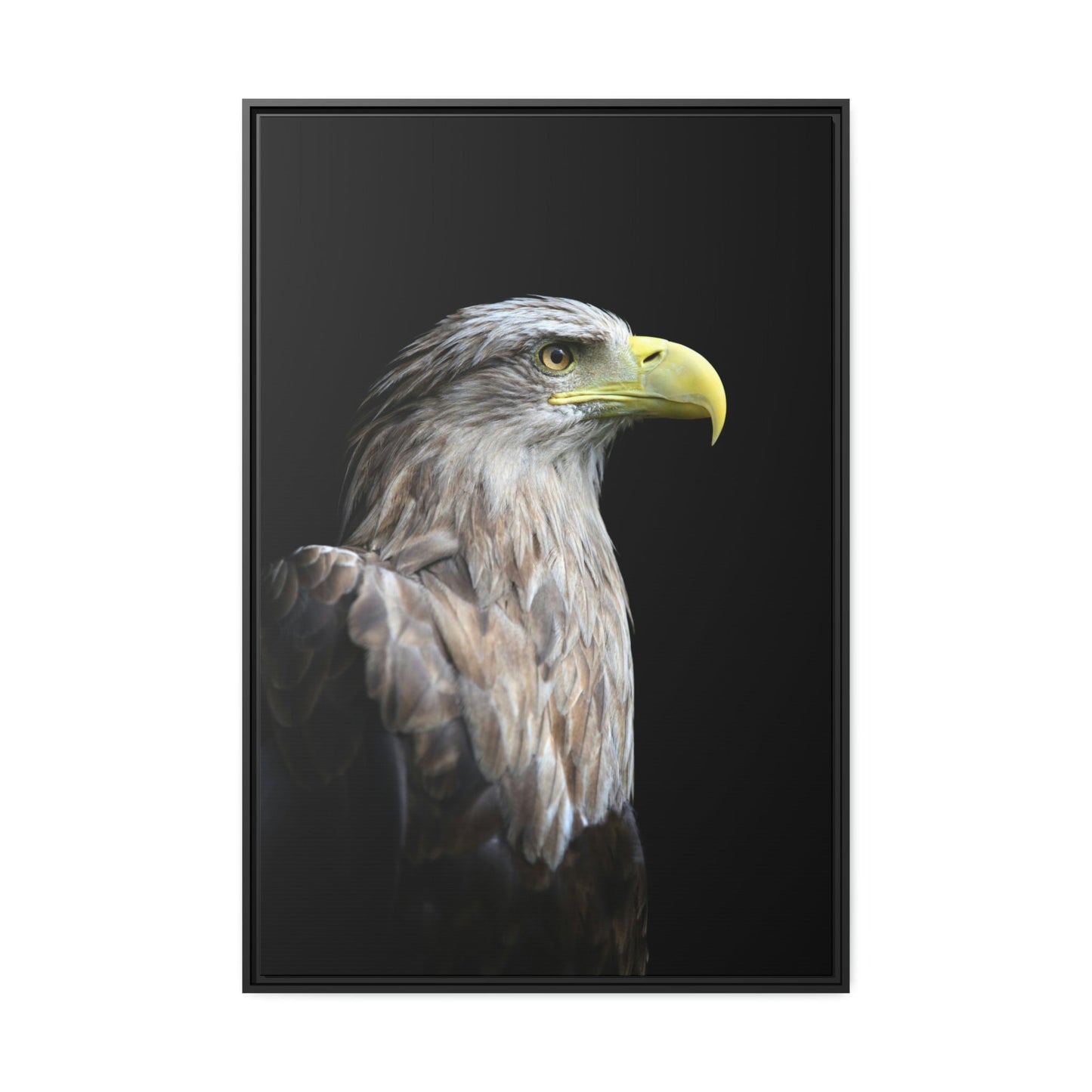 Eagle's Resilience: Inspiring Canvas Print, Showcasing their Indomitable Spirit