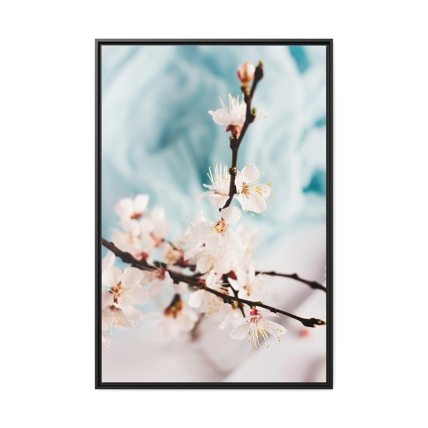 Fragile Elegance: Cherry Blossoms on Artistic Print