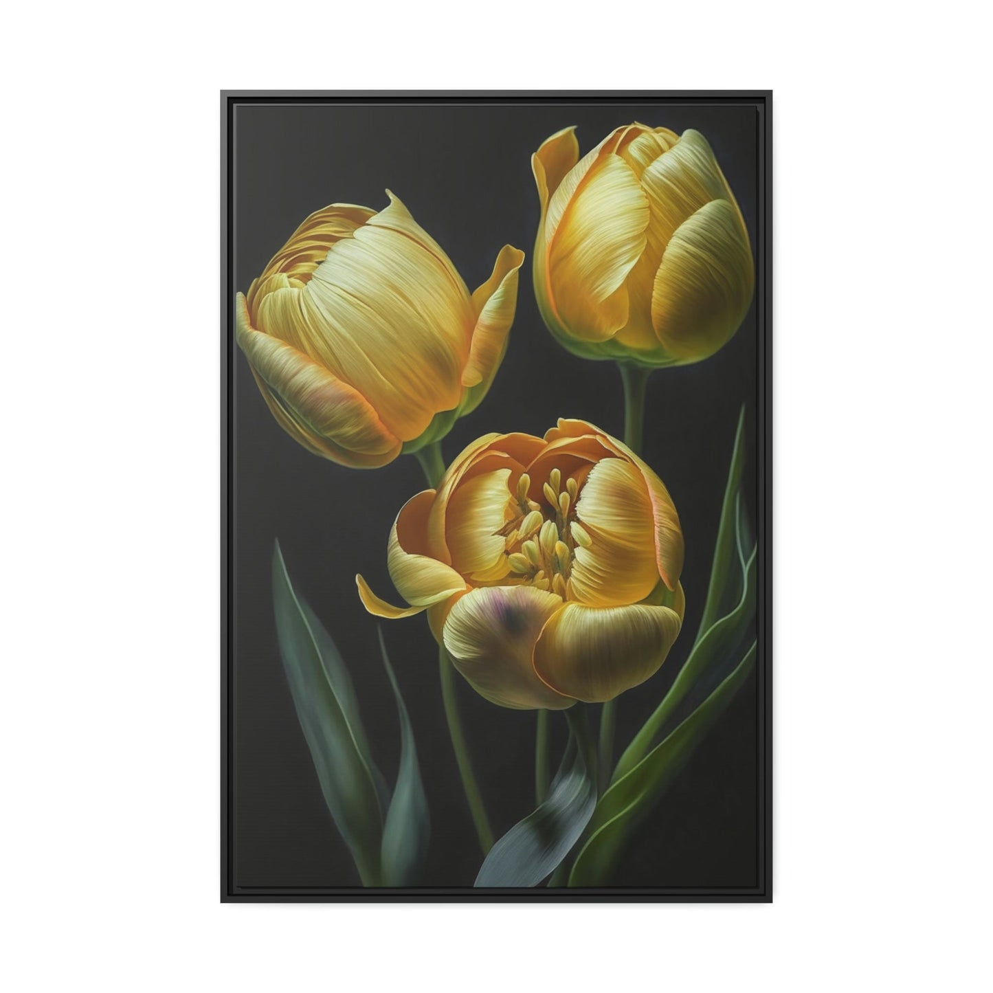 Tulips in Bloom: A Garden Delight
