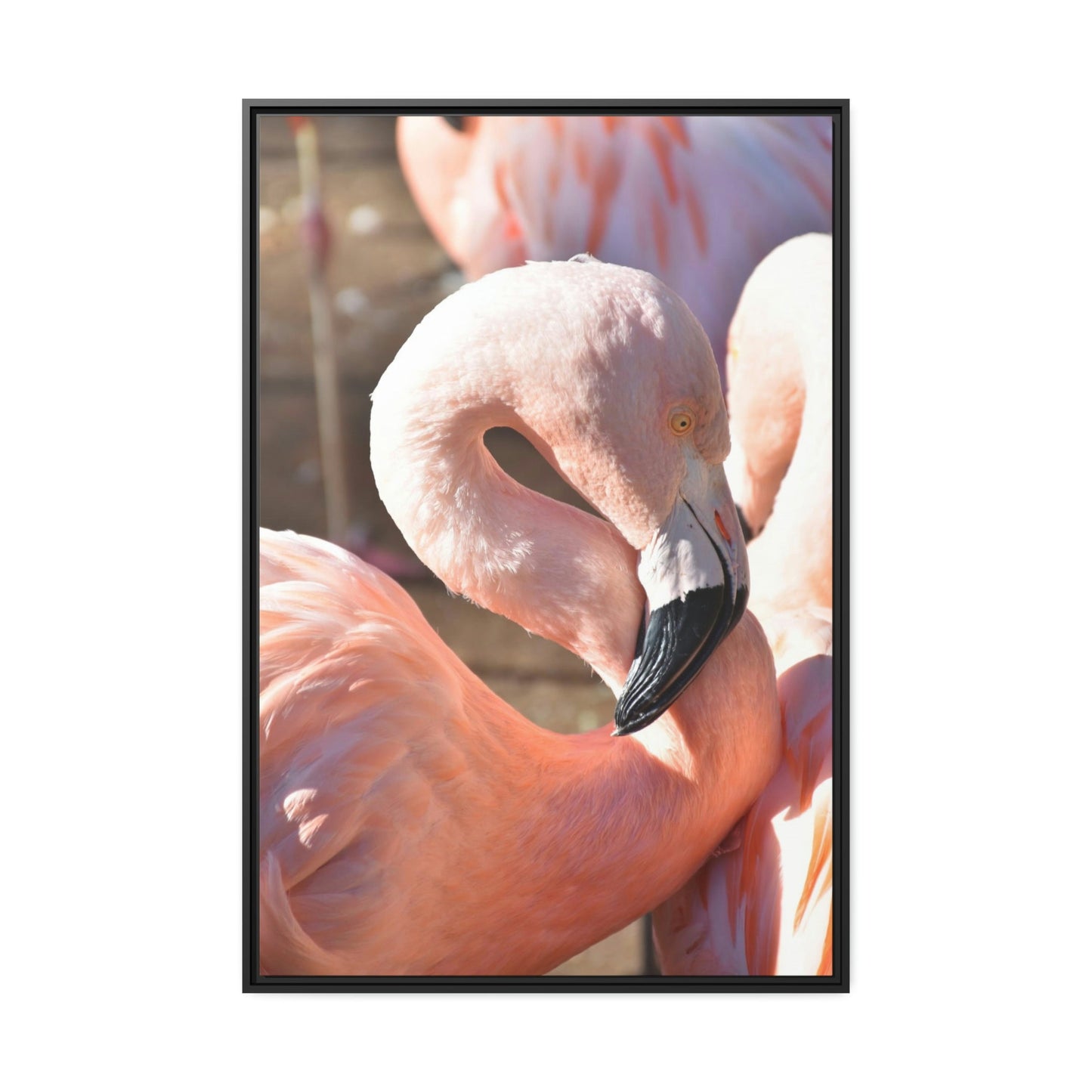Flamingo Reflections: A Canvas of Stillness and Serenity