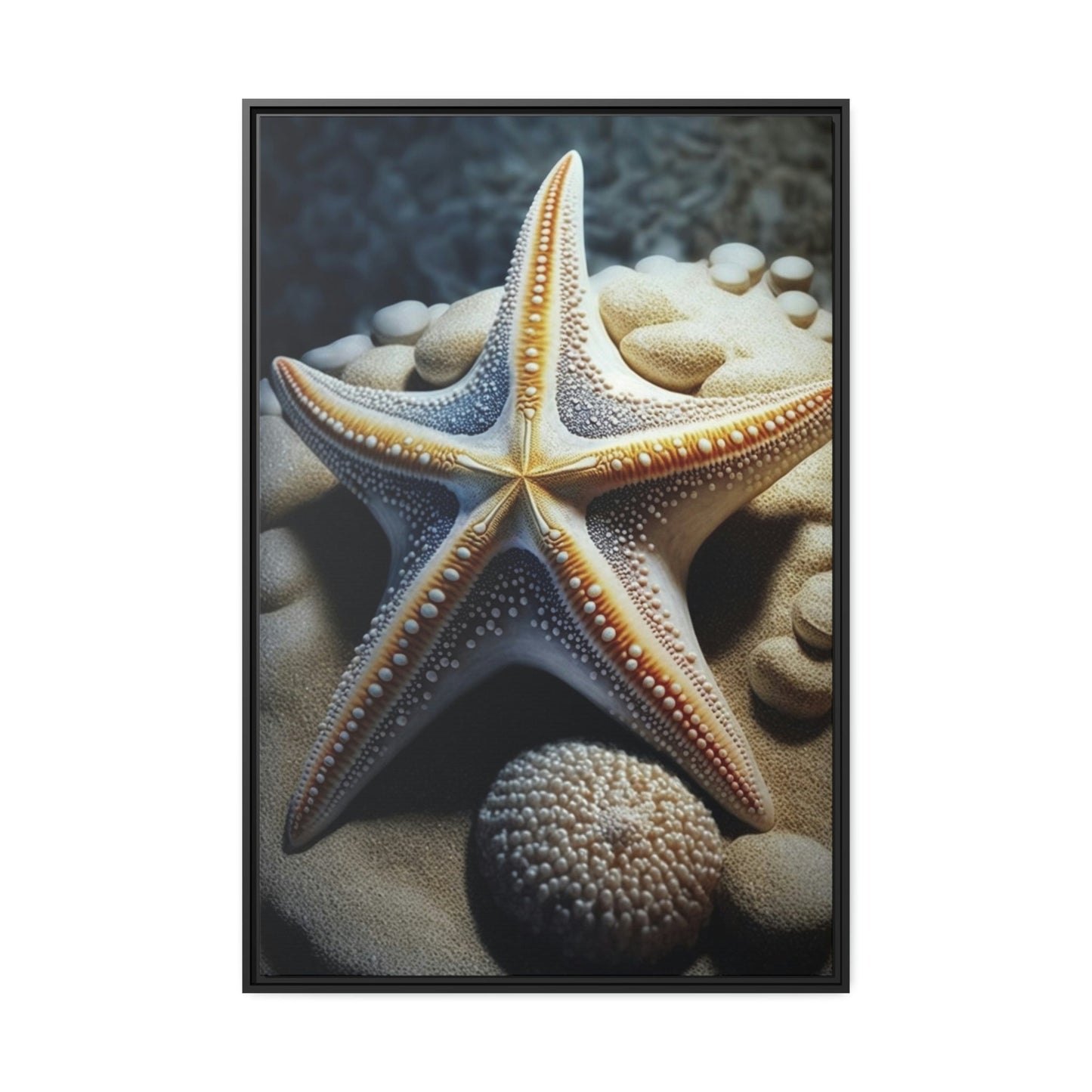 Starfish Dreams: A Voyage to the Depths of Imagination