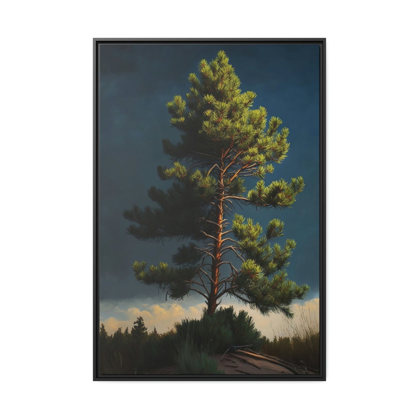 Pine Tree Sanctuary: A Canvas of Peace and Solitude