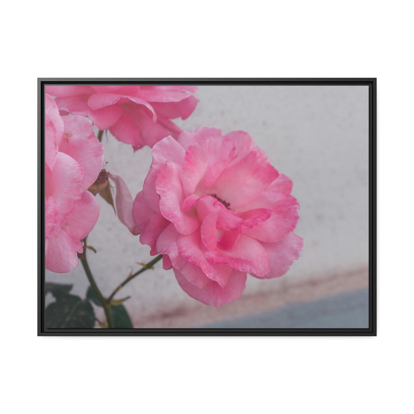 Floral Dreams: Canvas Print of Flowers for Bedroom Decor