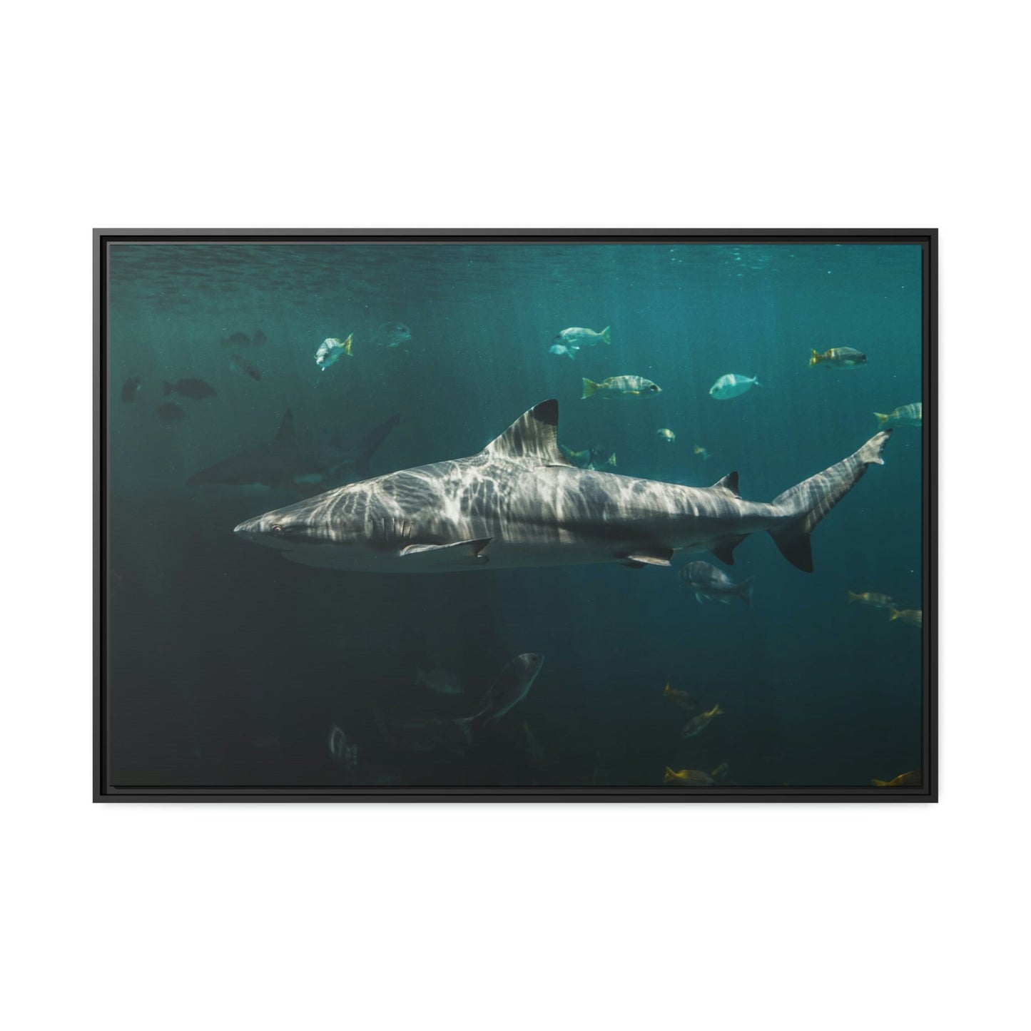 Silent Predators: Sharks' Haunting Canvas