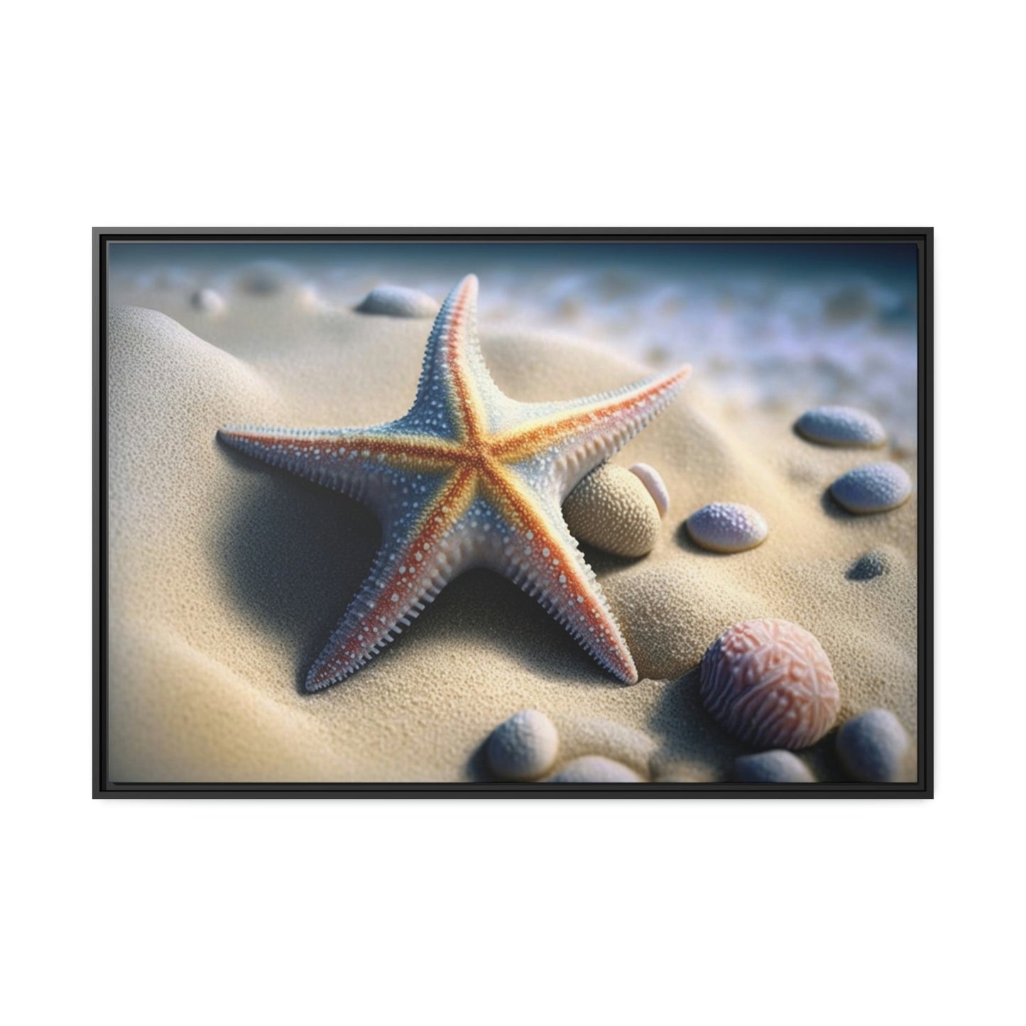 Starfish Tales: A Story of Sea Life and Wonder