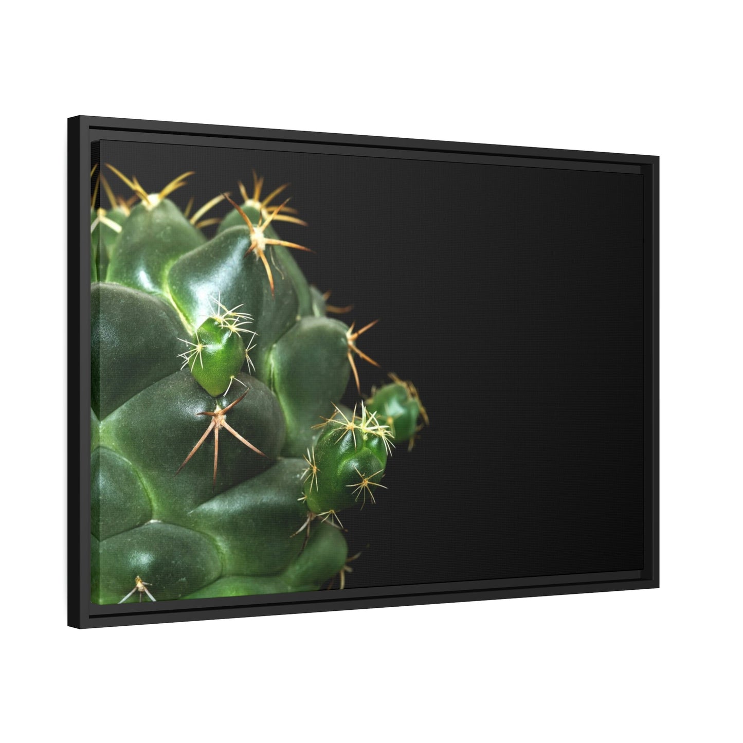 Succulent Splendor: Natural Canvas Cactus Print for a Modern Look