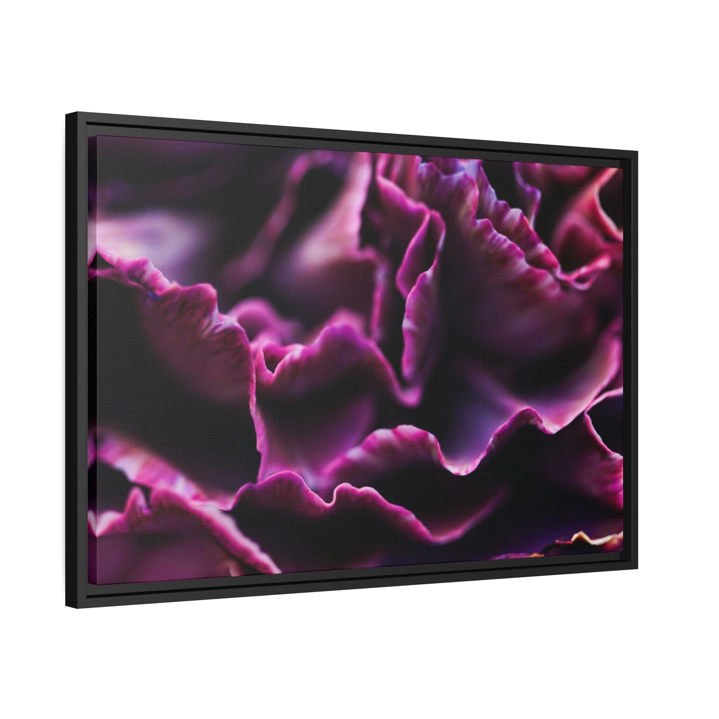 Colorful Petals: Framed Canvas and Wall Art of Carnations for Your Walls