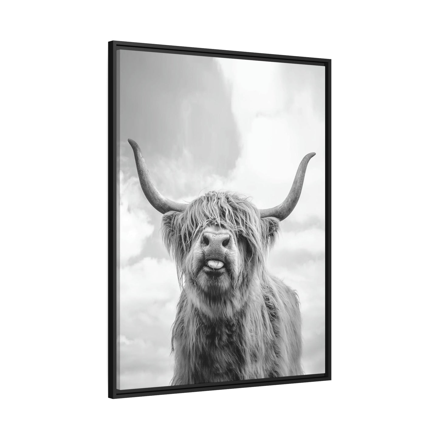 Highland Cow | Wooly Cattle | Black-White Art — Pixoram