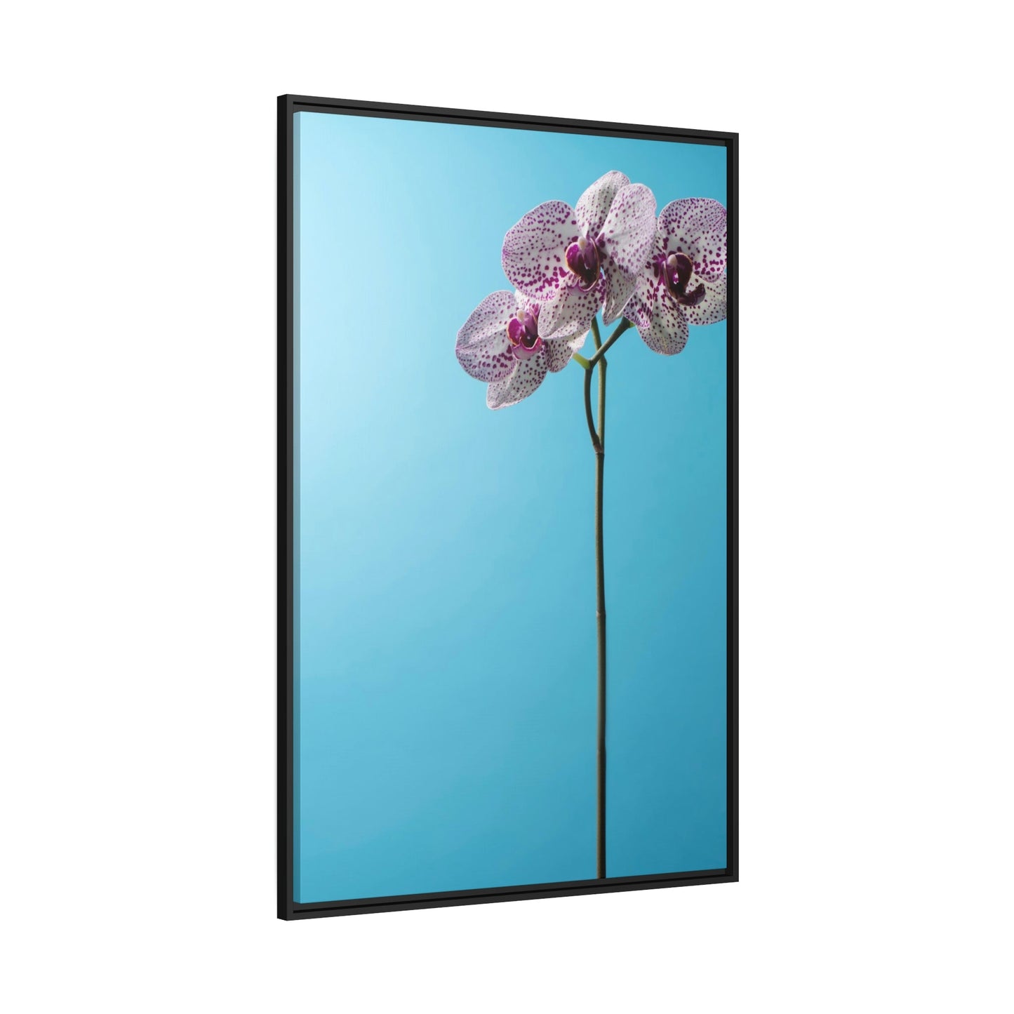 Orchid Elegance: Serenity on Canvas