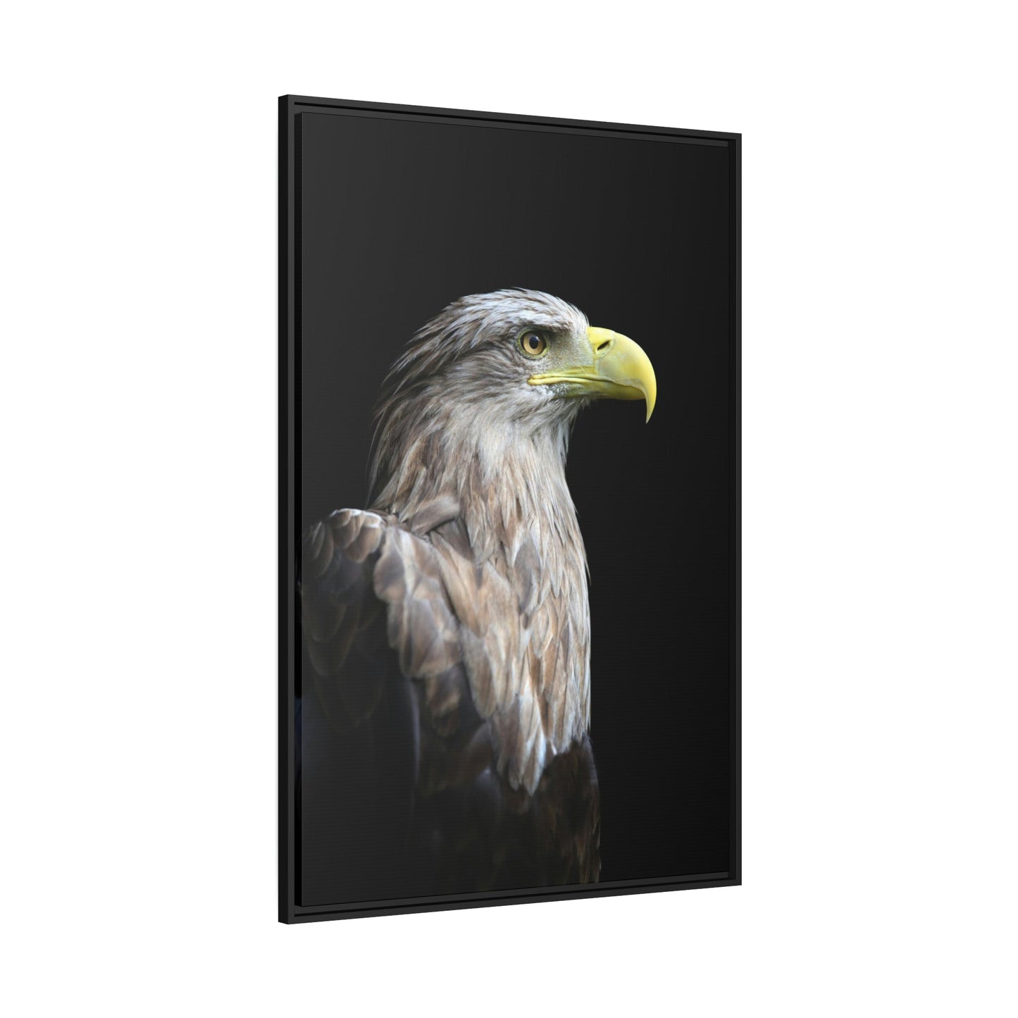 Eagle's Resilience: Inspiring Canvas Print, Showcasing their Indomitable Spirit