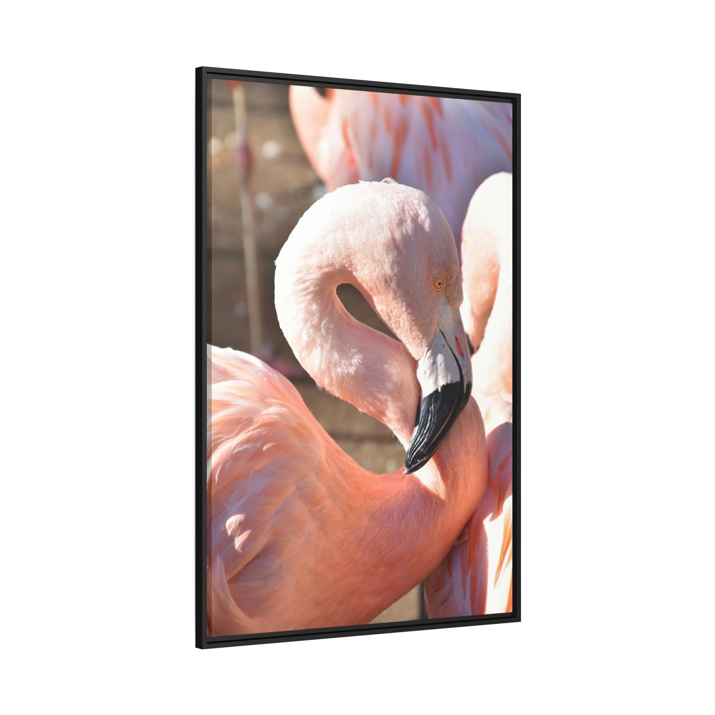 Flamingo Reflections: A Canvas of Stillness and Serenity