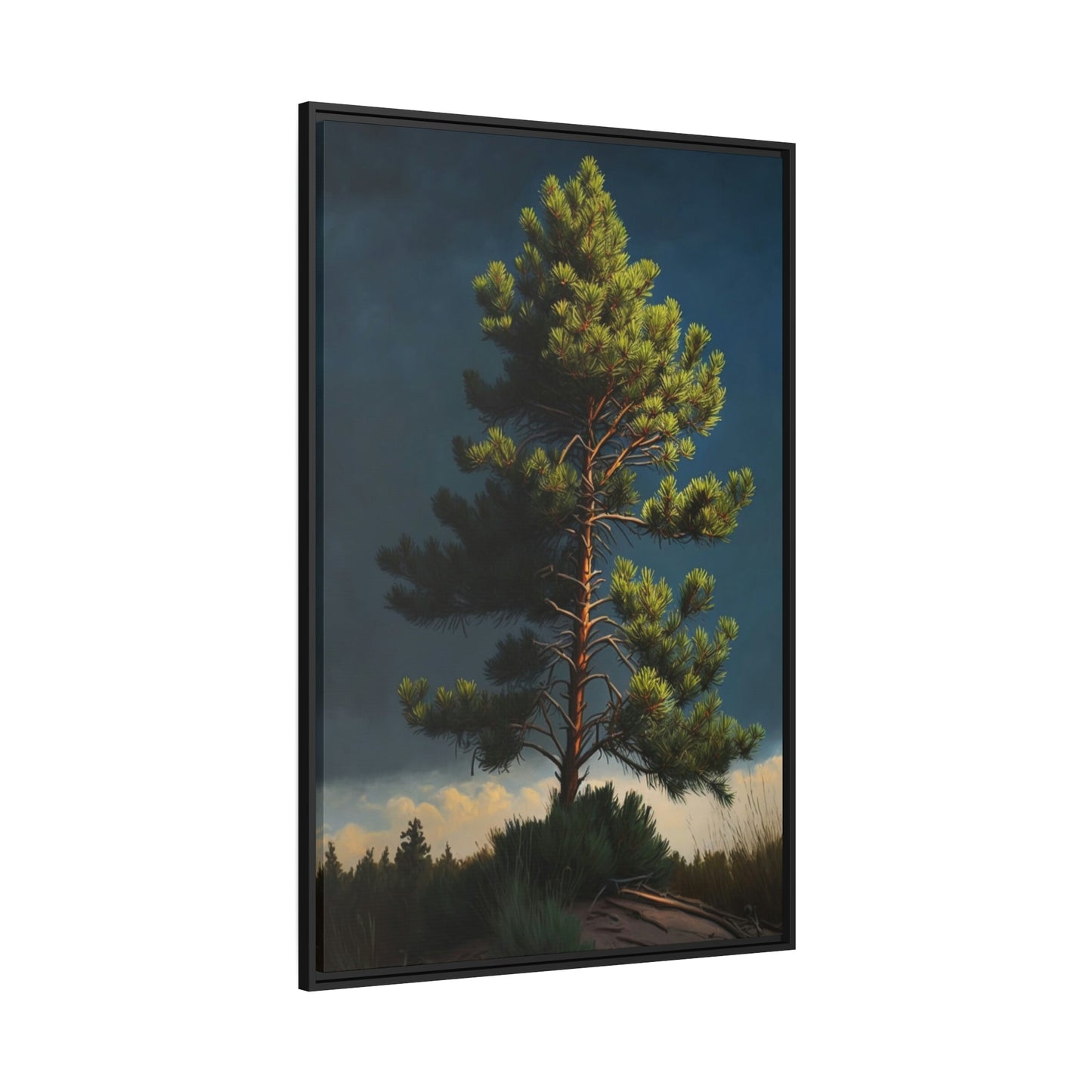 Pine Tree Sanctuary: A Canvas of Peace and Solitude