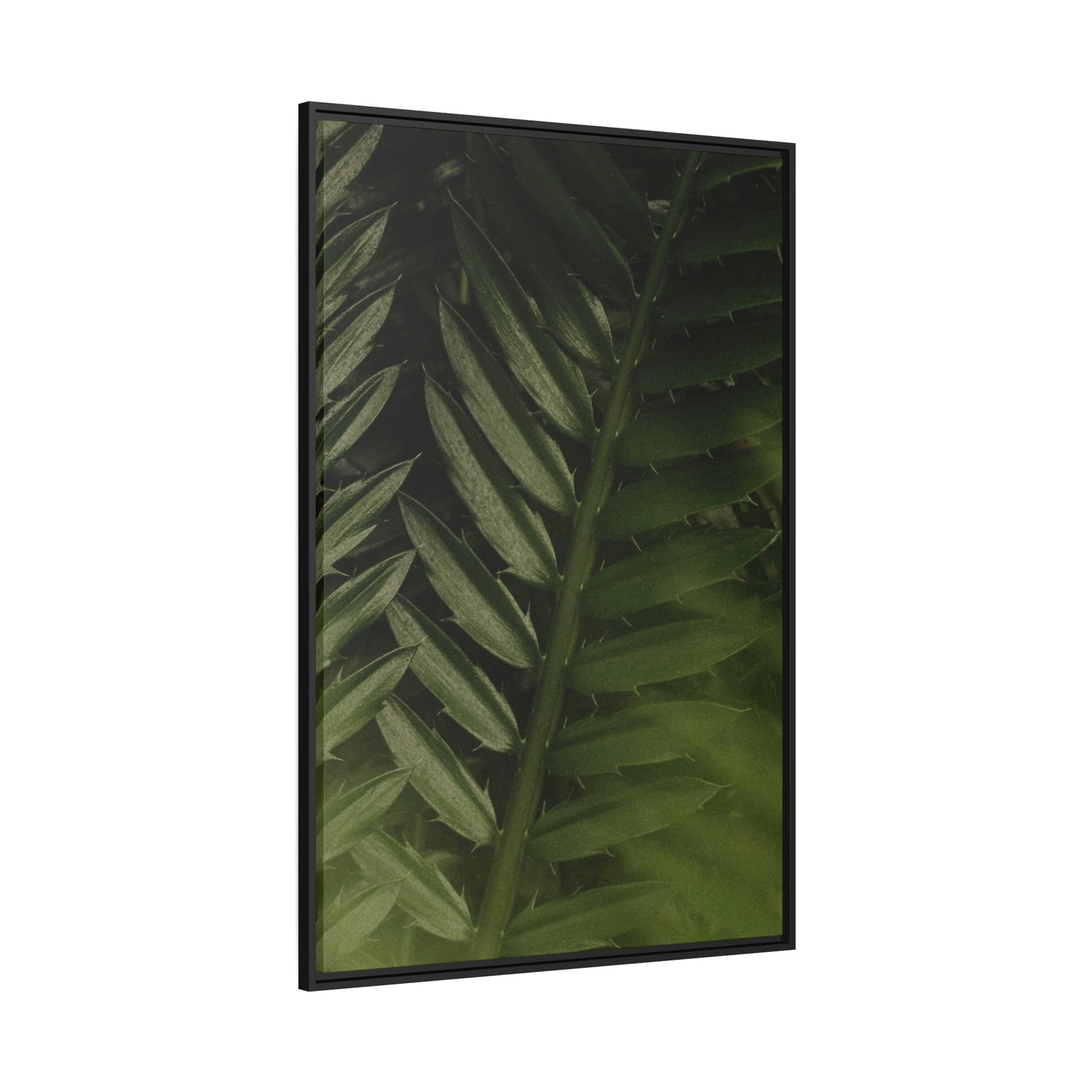 The Splendor of Ferns: A Beautiful Painting on Canvas