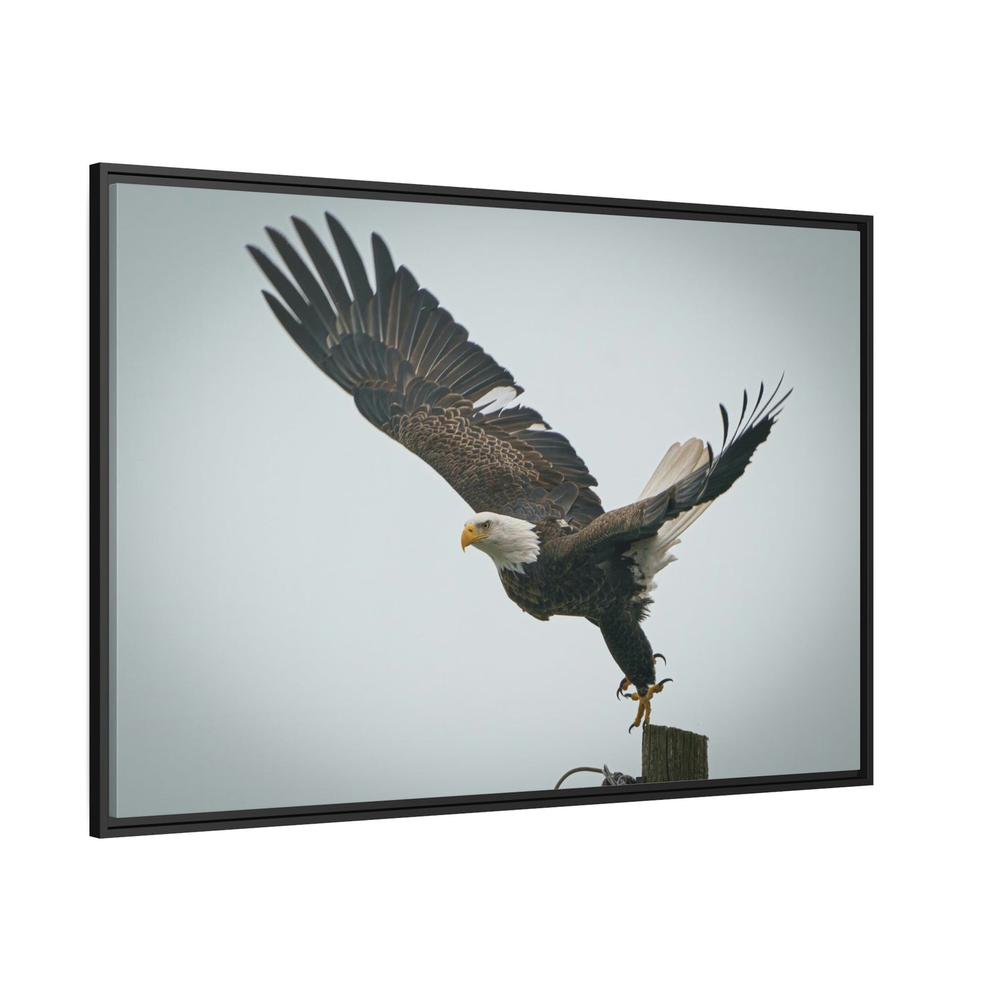 Eagle's Wings Unbound: Framed Canvas Embracing the Spirit of Freedom