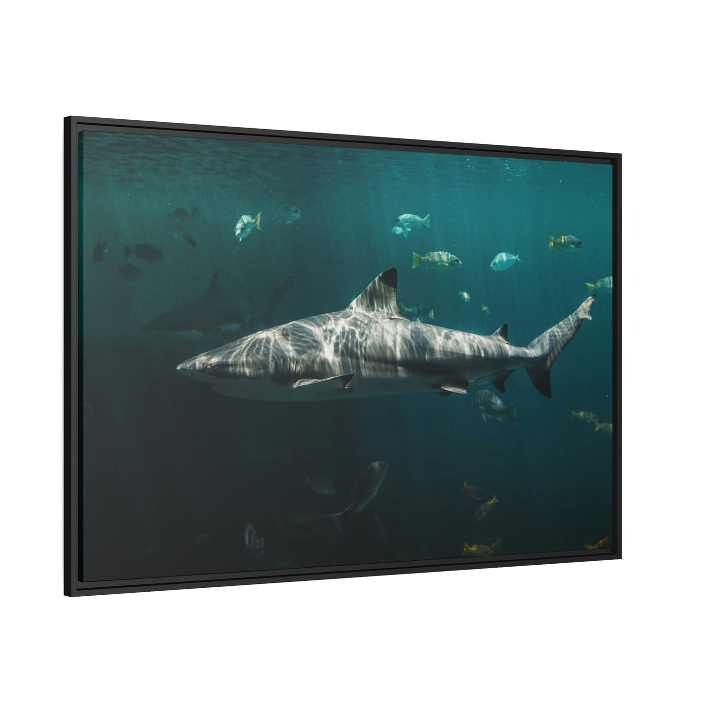 Silent Predators: Sharks' Haunting Canvas