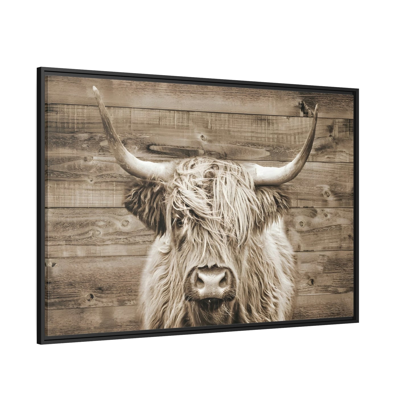 Highland Harmony: Serene Highland Cow - Pixoram