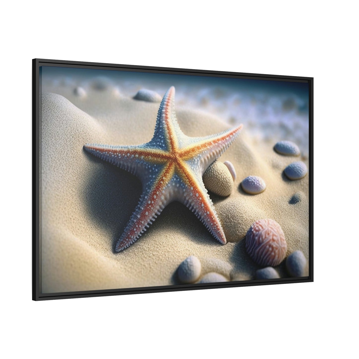 Starfish Tales: A Story of Sea Life and Wonder