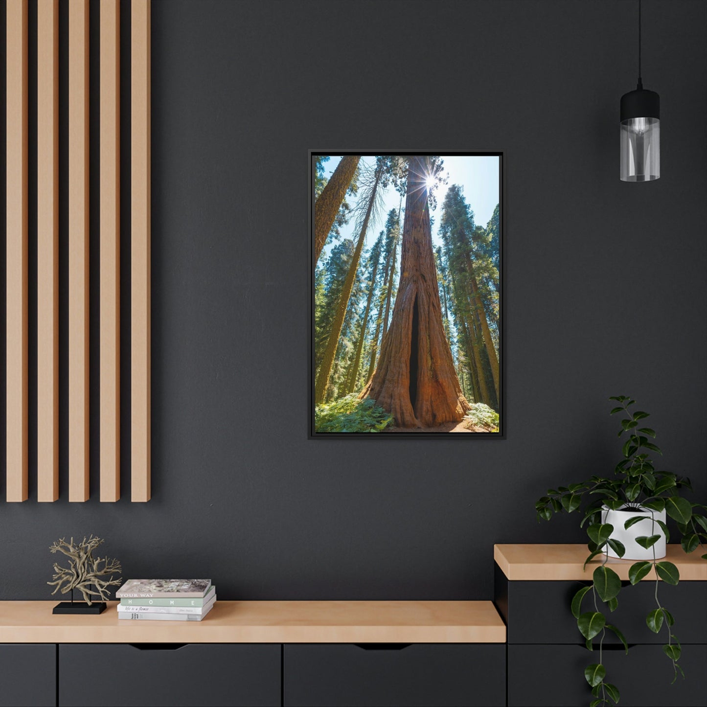 Whispers from the Forest: Redwood Trees