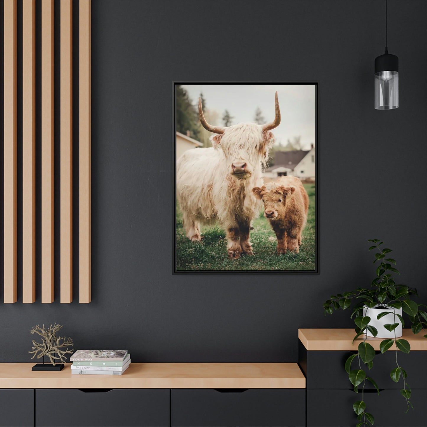 Highland Cow | White & Brown Highland Cows | Marvelous — Pixoram