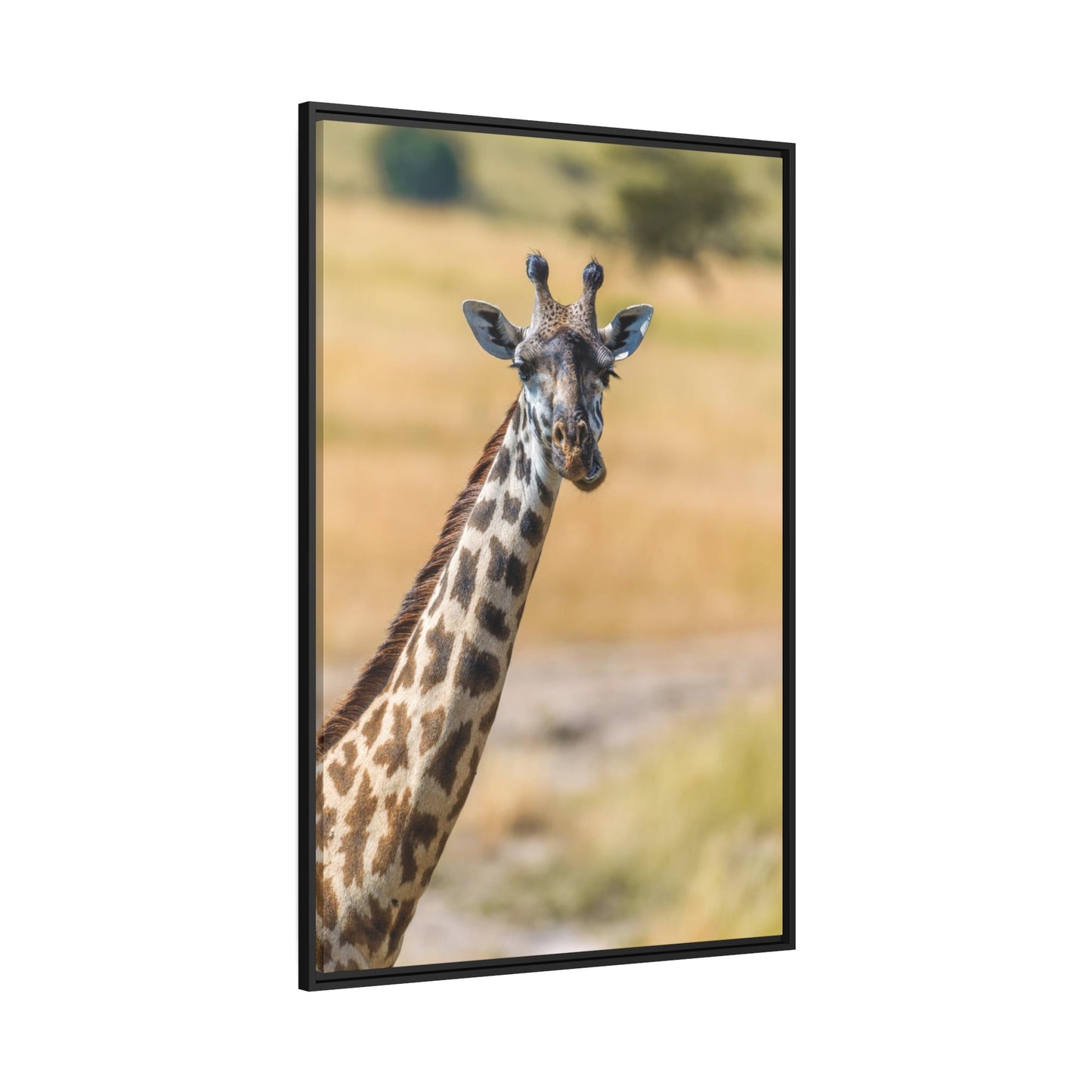 Wild and Free: Canvas Wall Art Featuring a Giraffe in the African Plains