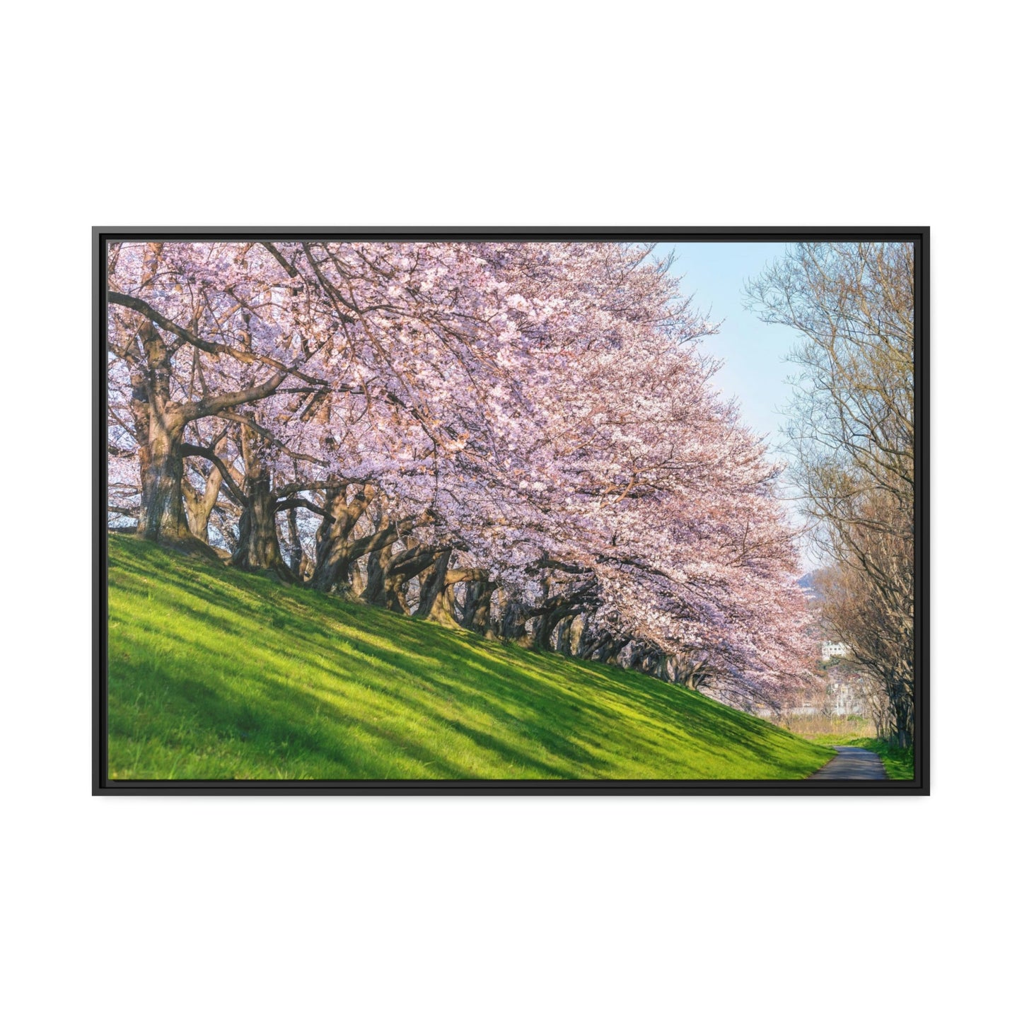 Enchanted Forest: Cherry Trees on Canvas & Poster