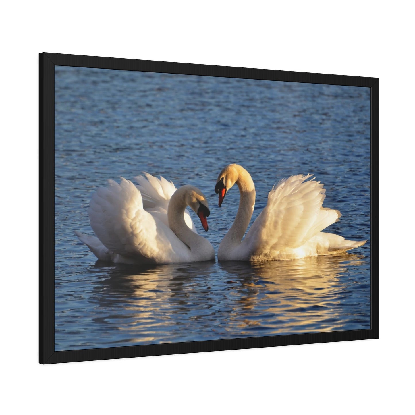 Majestic Beauty: Canvas Wall Art Displaying the Grace and Strength of Swans