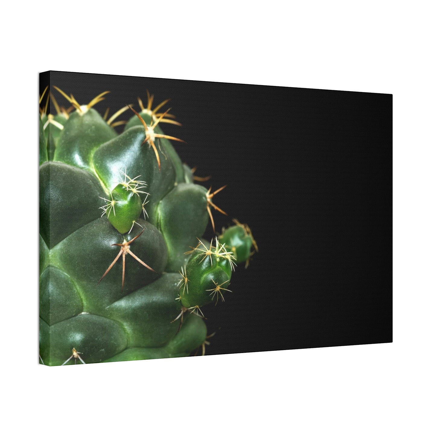 Succulent Splendor: Natural Canvas Cactus Print for a Modern Look