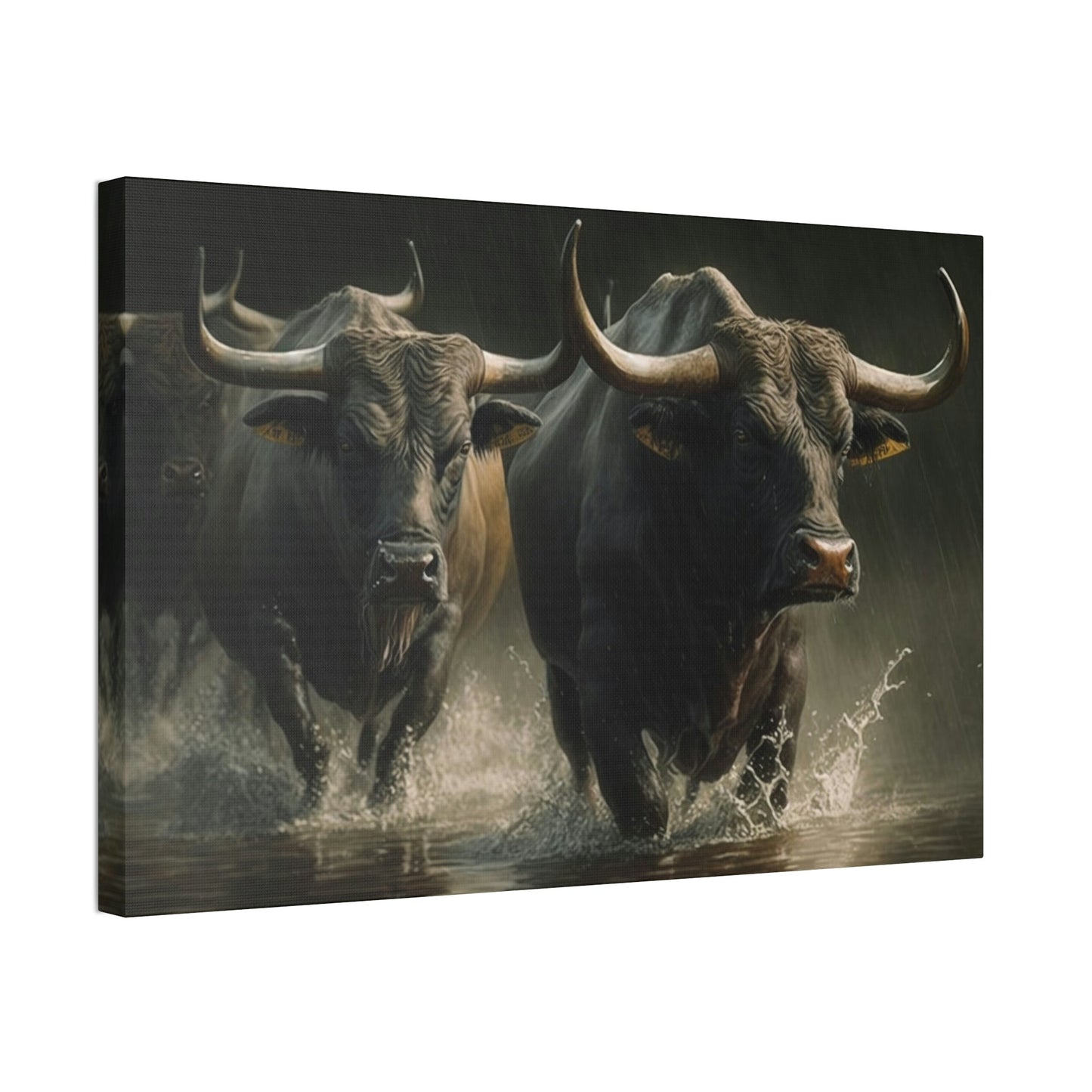 Wild Bulls Running: Poster & Canvas Print of Cattle Stampede