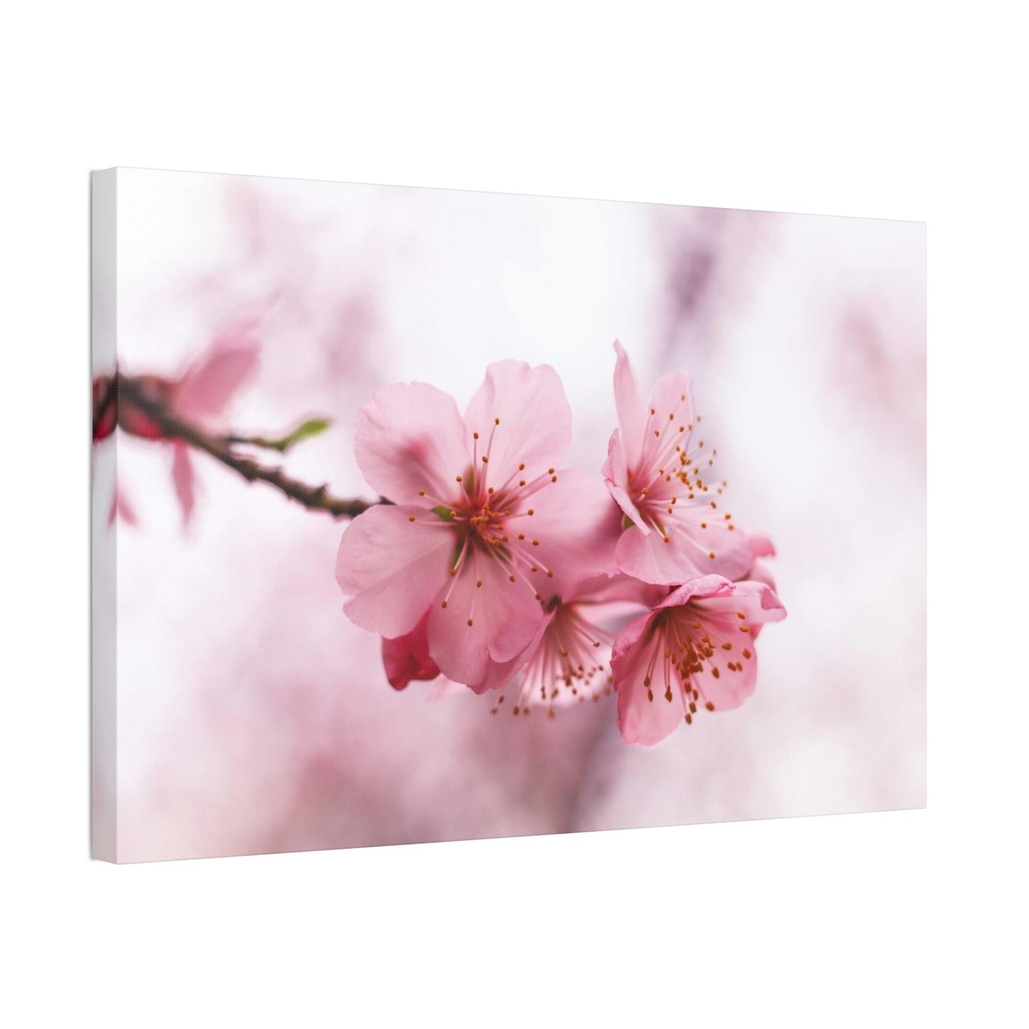 Japanese Garden: Cherry Blossoms on Natural Canvas