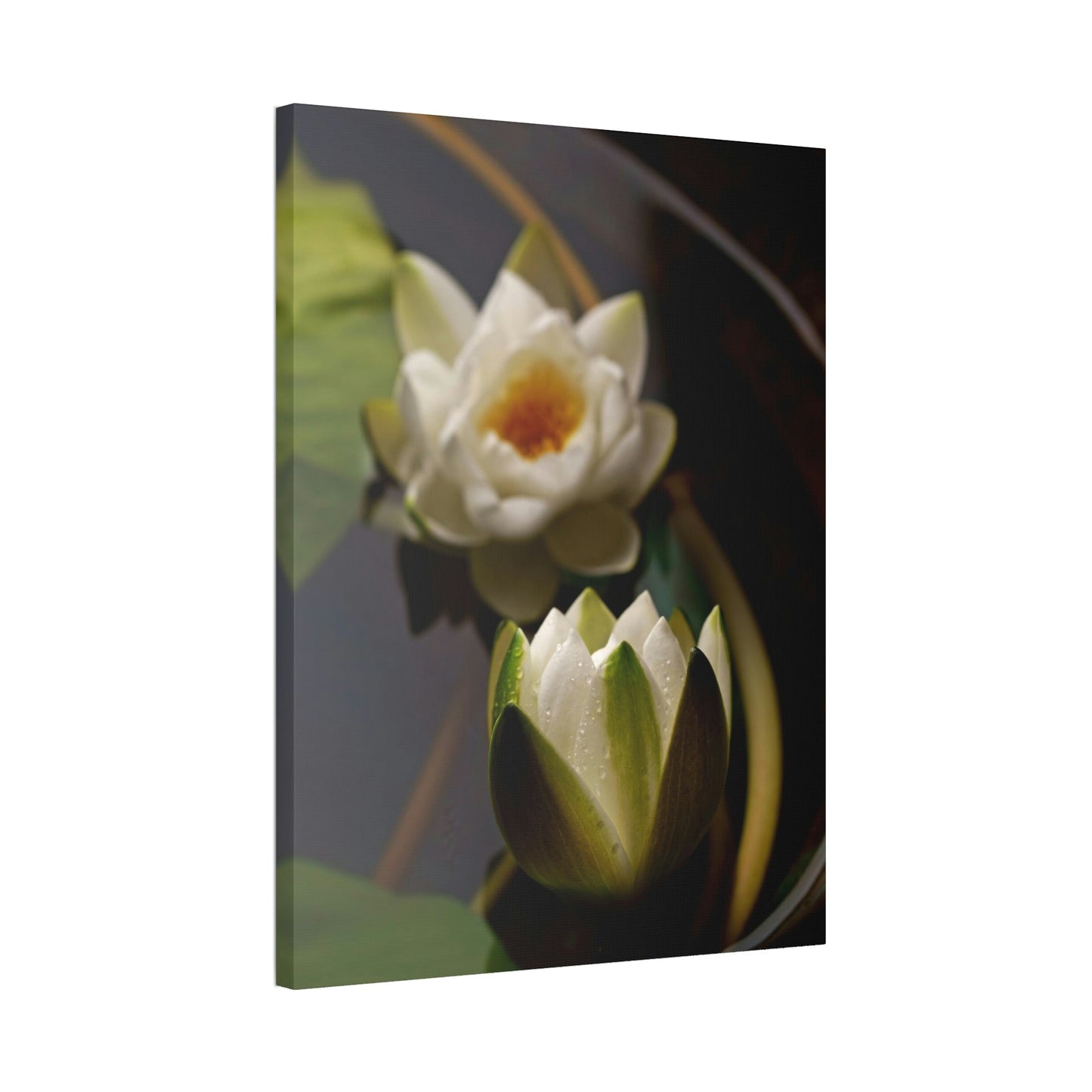 Lotus Garden: Elegant Framed Poster and Print on Canvas