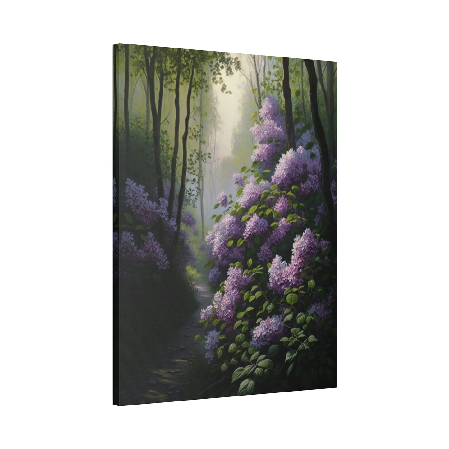 Lilacs in Bloom: A Fragrant Symphony