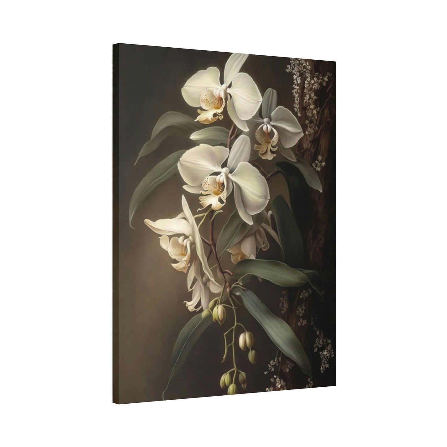 Orchid Bliss: Tranquility on Canvas