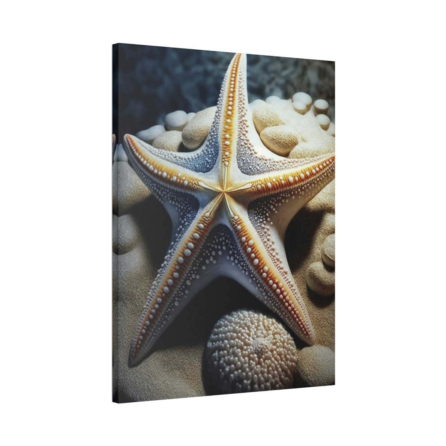 Starfish Dreams: A Voyage to the Depths of Imagination