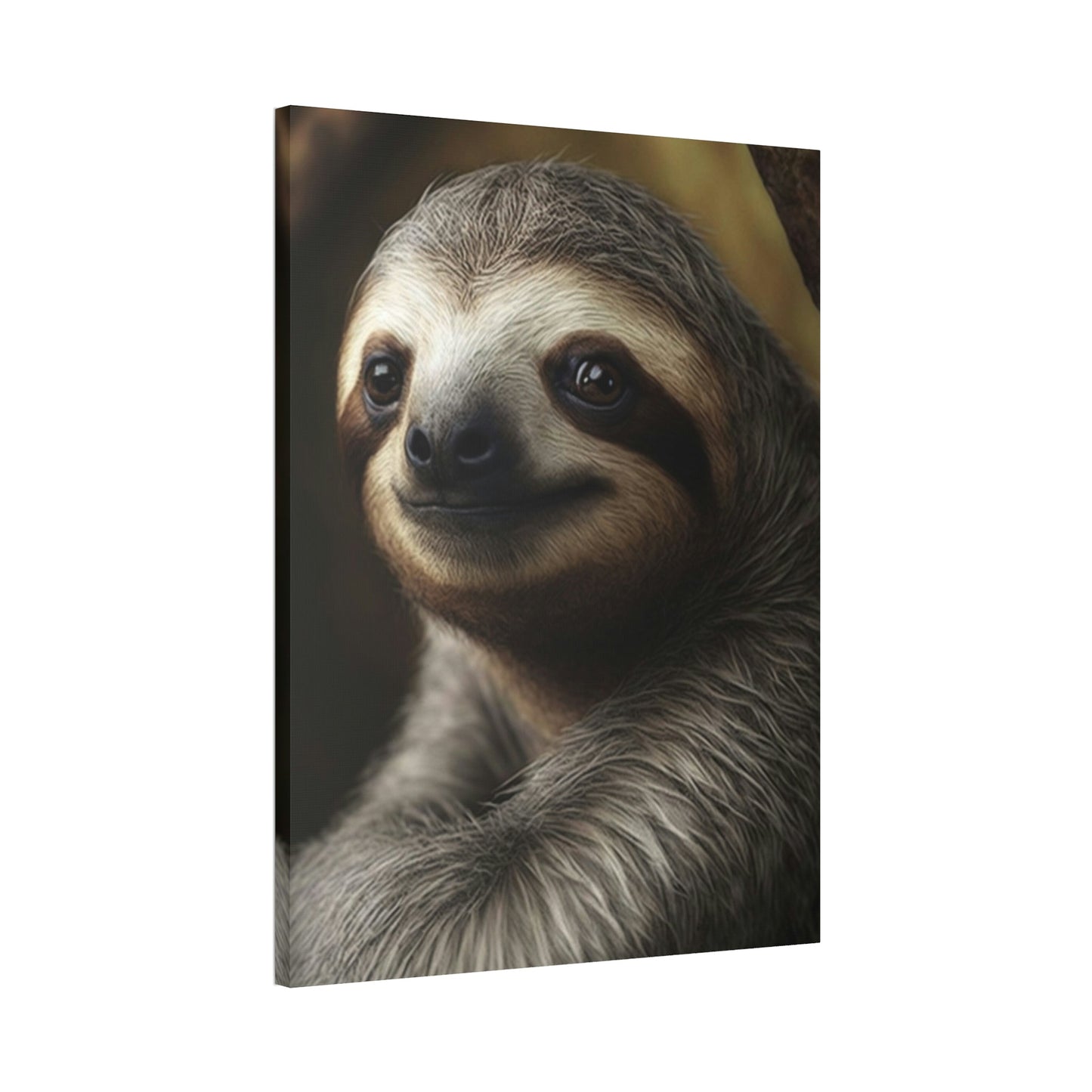 The Slow Life: A Slothful Serenade